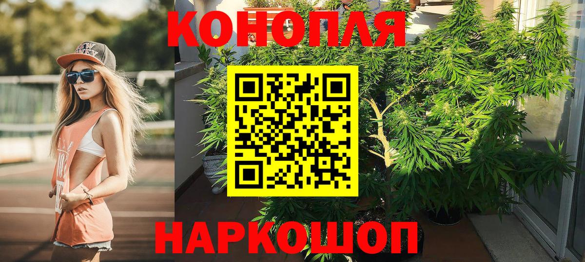 Бошки марихуана сатива  Вход с VPN  Грязи  Марихуана марихуана  Бошки марихуана Bruce Banner 